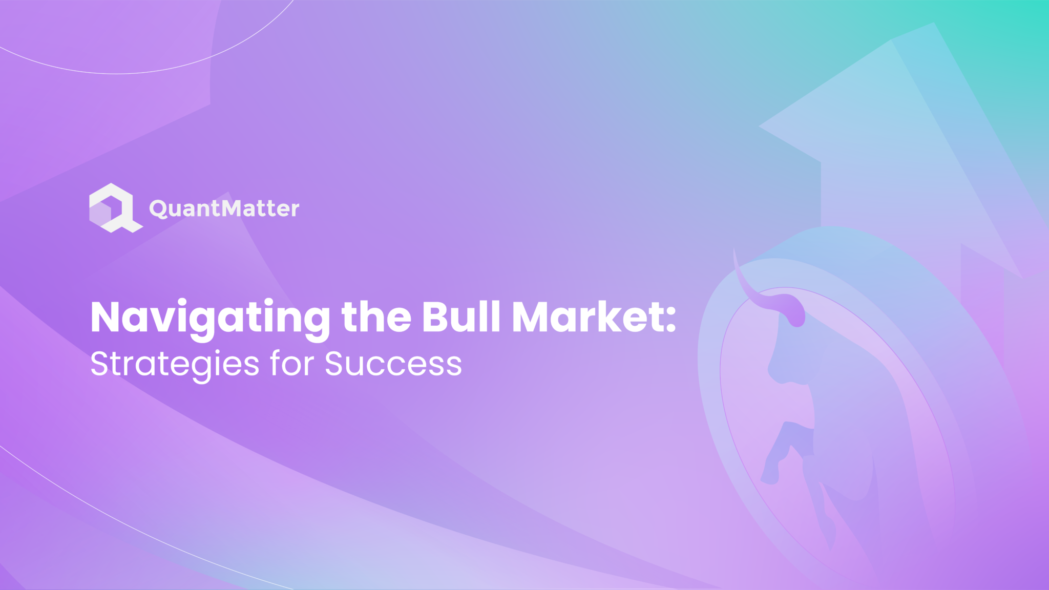 Navigating the Bull Market Strategies for Success