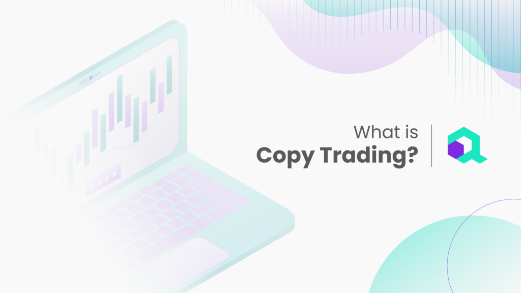 5 Best Copy Trading Platforms for Beginners in 2024