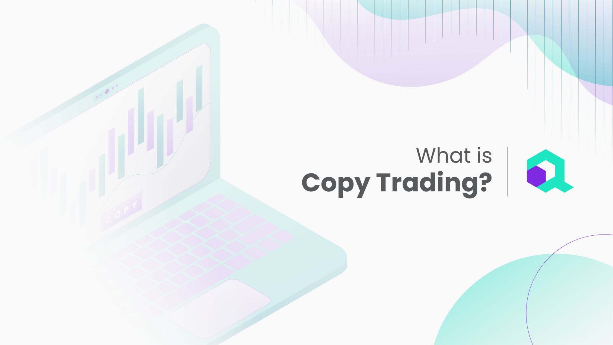 5 Best Copy Trading Platforms for Beginners for 2024