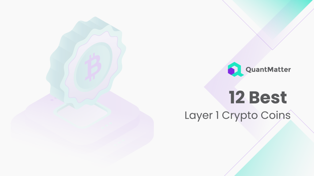 12 Best Layer 1 Crypto Coins to Check this 2024