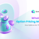 What Is an Option Pricing Model How Options Get Their Value